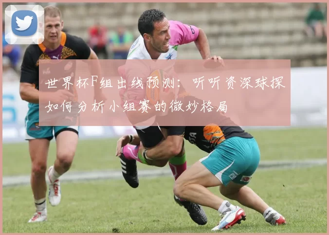 世界杯F组出线预测:听听资深球探如何分析小组赛的微妙格局