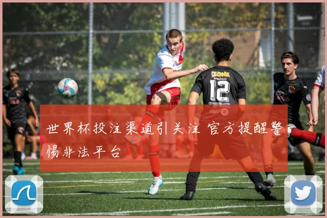 世界杯投注渠道引关注 官方提醒警惕非法平台