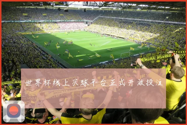 世界杯线上买球平台正式开放投注