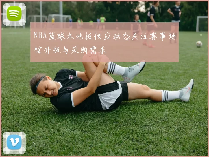 NBA篮球木地板供应动态关注赛事场馆升级与采购需求