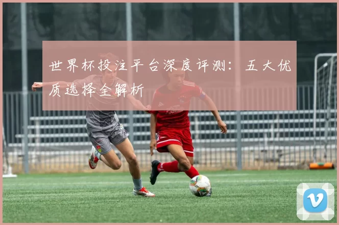 世界杯投注平台深度评测：五大优质选择全解析