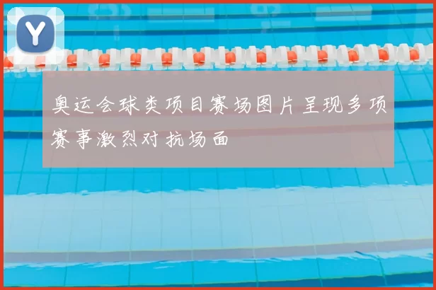 奥运会球类项目赛场图片呈现多项赛事激烈对抗场面