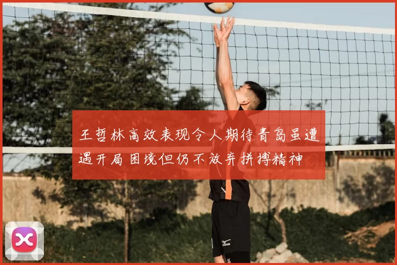 王哲林高效表现令人期待青岛虽遭遇开局困境但仍不放弃拼搏精神