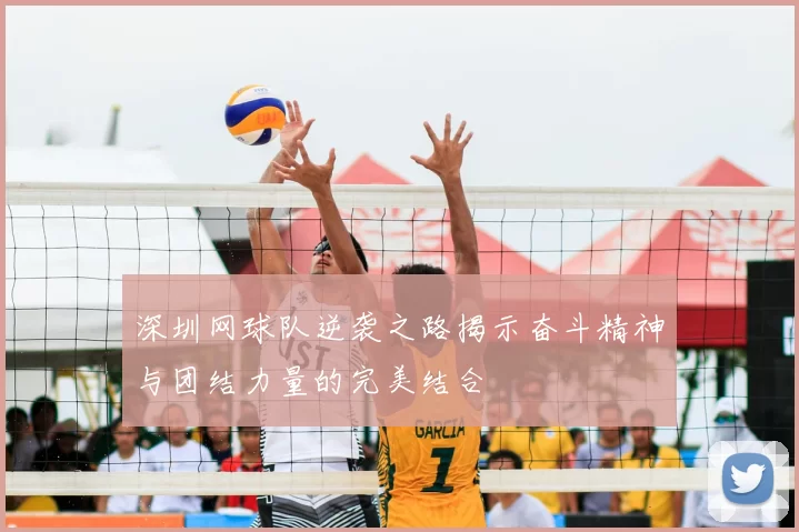 深圳网球队逆袭之路揭示奋斗精神与团结力量的完美结合