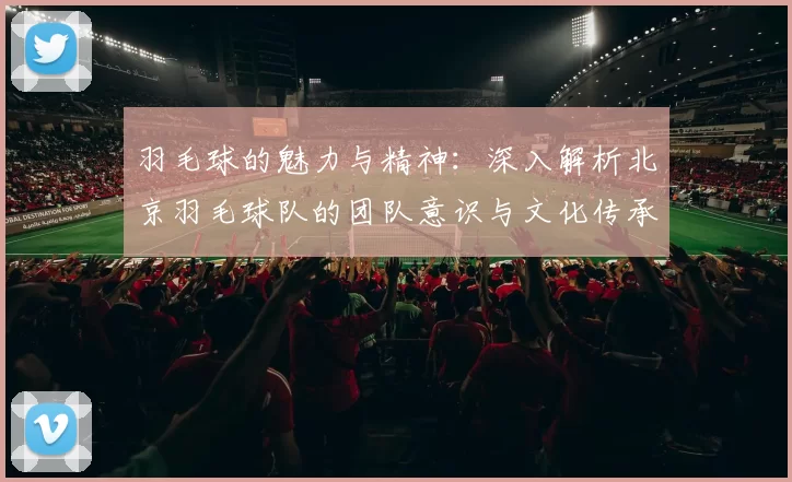 羽毛球的魅力与精神：深入解析北京羽毛球队的团队意识与文化传承