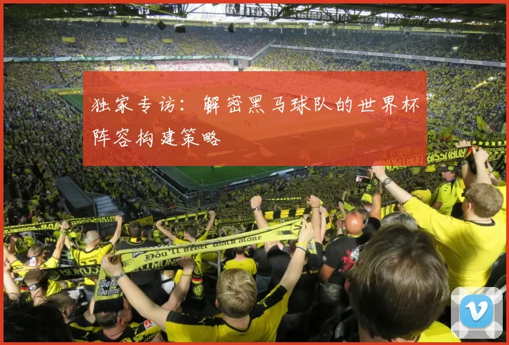 独家专访：解密黑马球队的世界杯阵容构建策略