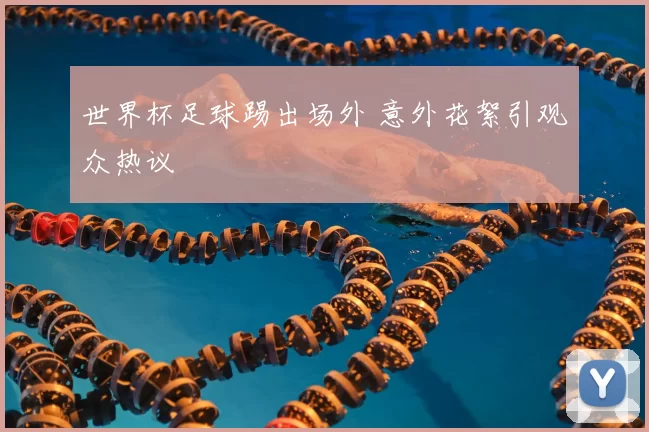 世界杯足球踢出场外 意外花絮引观众热议