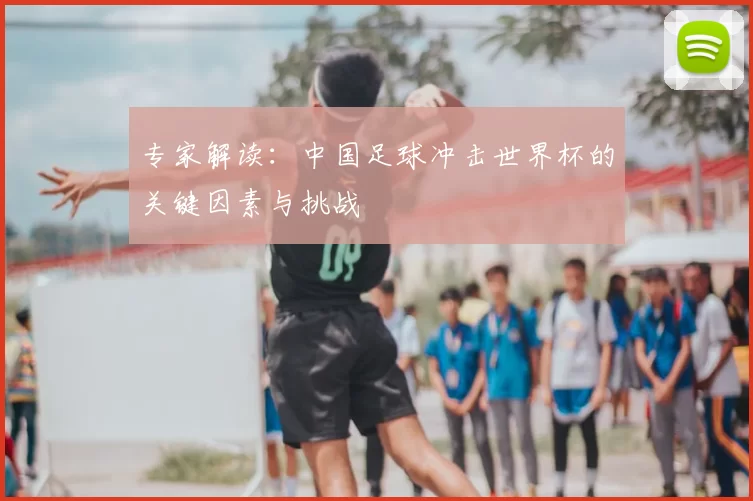 专家解读：中国足球冲击世界杯的关键因素与挑战