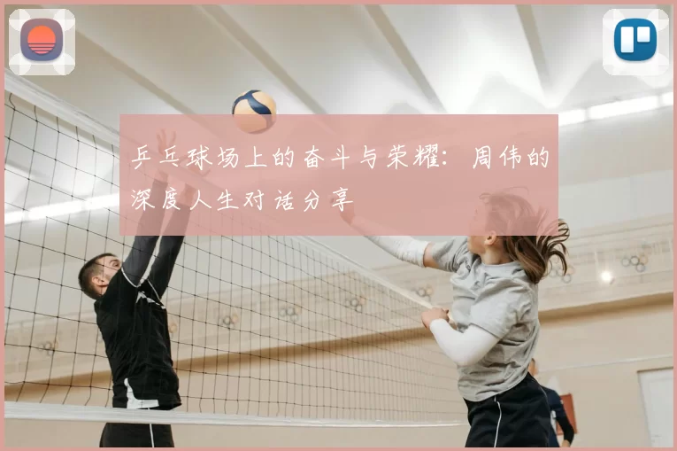 乒乓球场上的奋斗与荣耀:周伟的深度人生对话分享