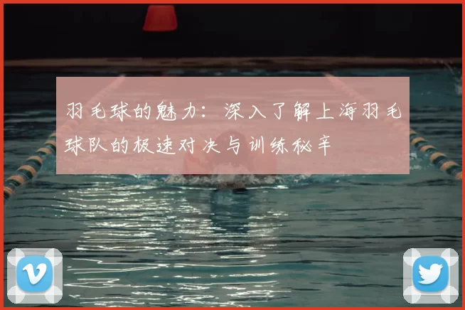 羽毛球的魅力:深入了解上海羽毛球队的极速对决与训练秘辛