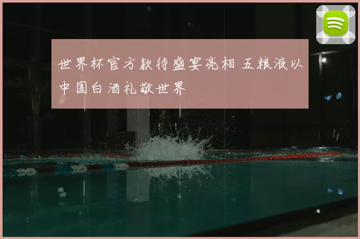 世界杯官方款待盛宴亮相 五粮液以中国白酒礼敬世界