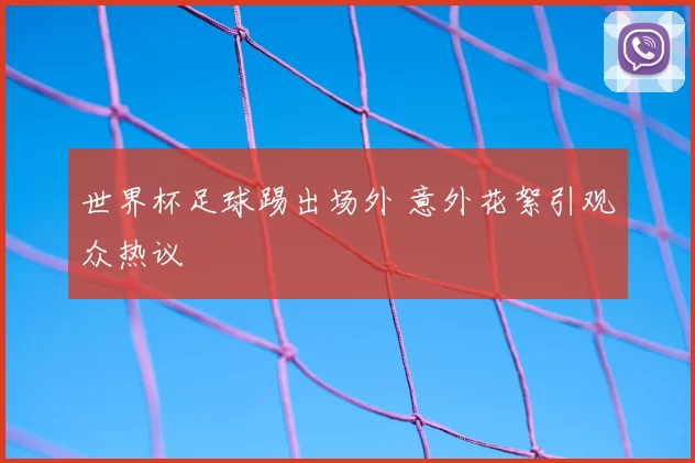 世界杯足球踢出场外 意外花絮引观众热议